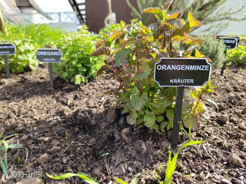 Bảng tên cây/rau cho Hochbeet & vườn (tiếng Đức) – in 2 màu - Image 4