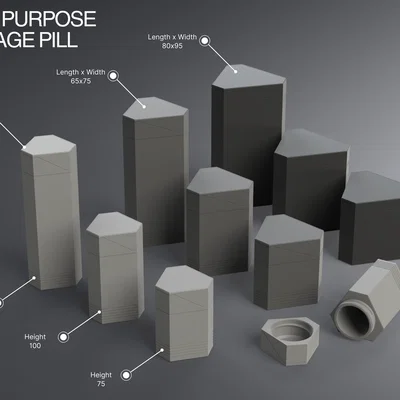 Hộp đựng dạng viên nang đa năng hình học (Geometric Multipurpose Storage Pill)