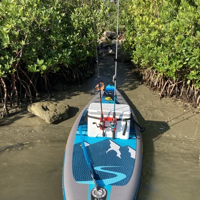 Giá đỡ cần câu gắn thùng cooler (Fishing Rod Holder)