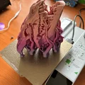 Sọ Rồng kèm Stand (Dragon-Skull with Stand) – NEW Stand added - Thumbnail 5
