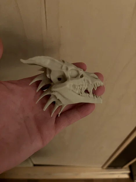 Sọ Rồng kèm Stand (Dragon-Skull with Stand) – NEW Stand added - Image 6