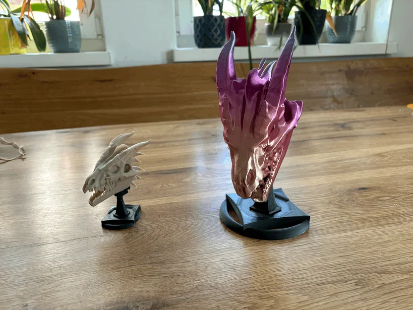 Sọ Rồng kèm Stand (Dragon-Skull with Stand) – NEW Stand added - Image 7