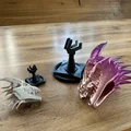 Sọ Rồng kèm Stand (Dragon-Skull with Stand) – NEW Stand added - Thumbnail 11
