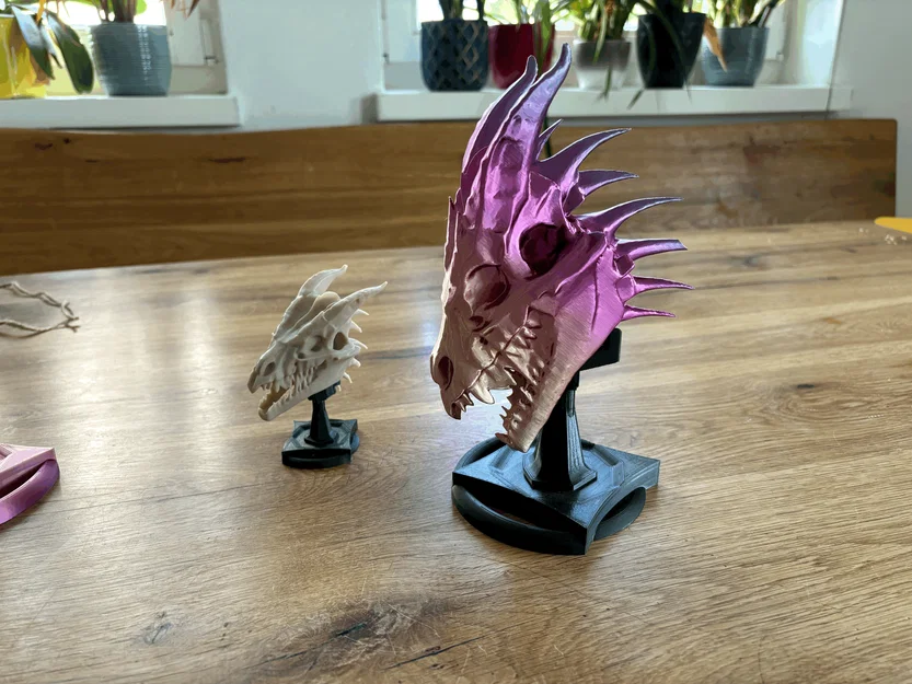 Sọ Rồng kèm Stand (Dragon-Skull with Stand) – NEW Stand added - Image 13