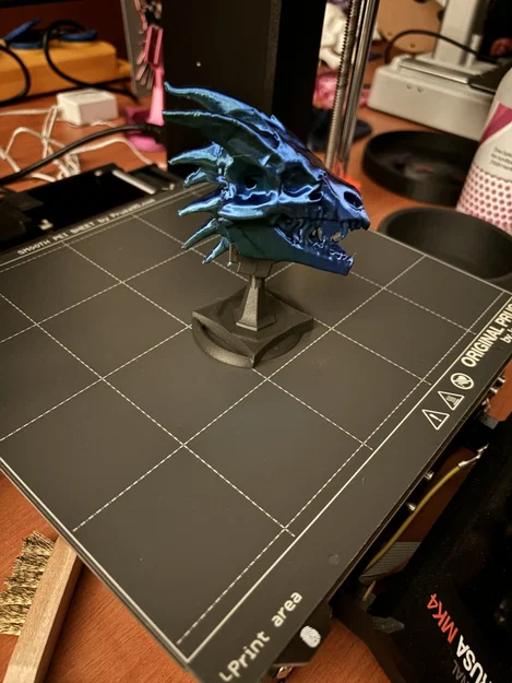 Sọ Rồng kèm Stand (Dragon-Skull with Stand) – NEW Stand added - Image 16