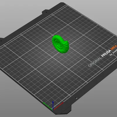 Móc khóa hình hóa thạch Ammonite độc đáo in 3D