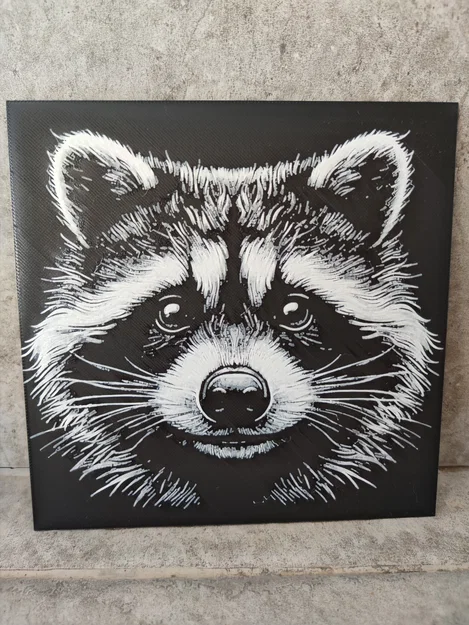 Hueforge Mapache - Image 1