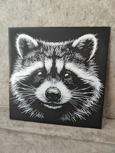 Hueforge Mapache - Image 2