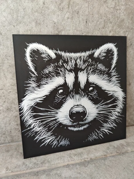 Hueforge Mapache - Image 3