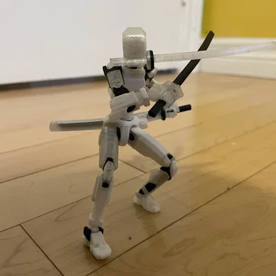 Đầu Dummy 13 Zoro