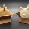 Neko Cat trong Hộp =^._.^= Không Cần Supports - Thumbnail 5