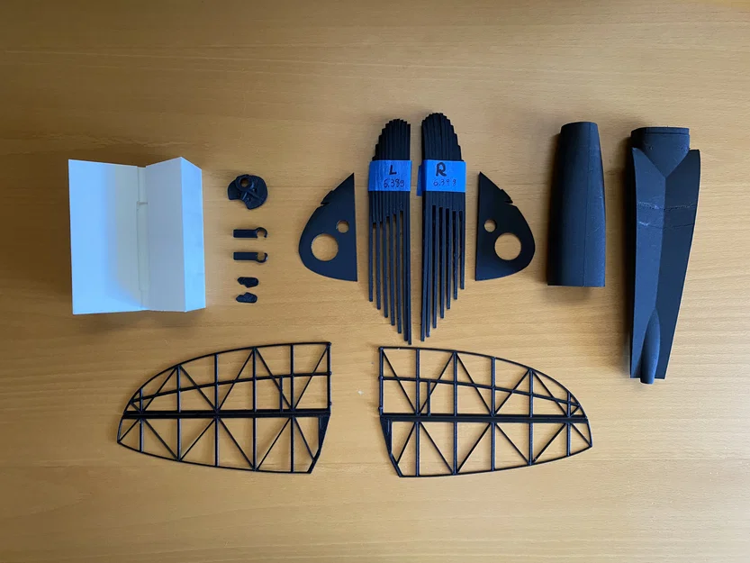 "Bug Lite" - Máy bay lượn điện in 3D (e-DLG / F5K) - Image 3