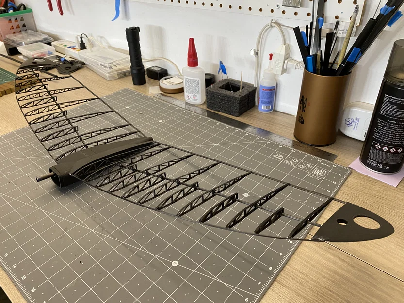 "Bug Lite" - Máy bay lượn điện in 3D (e-DLG / F5K) - Image 6