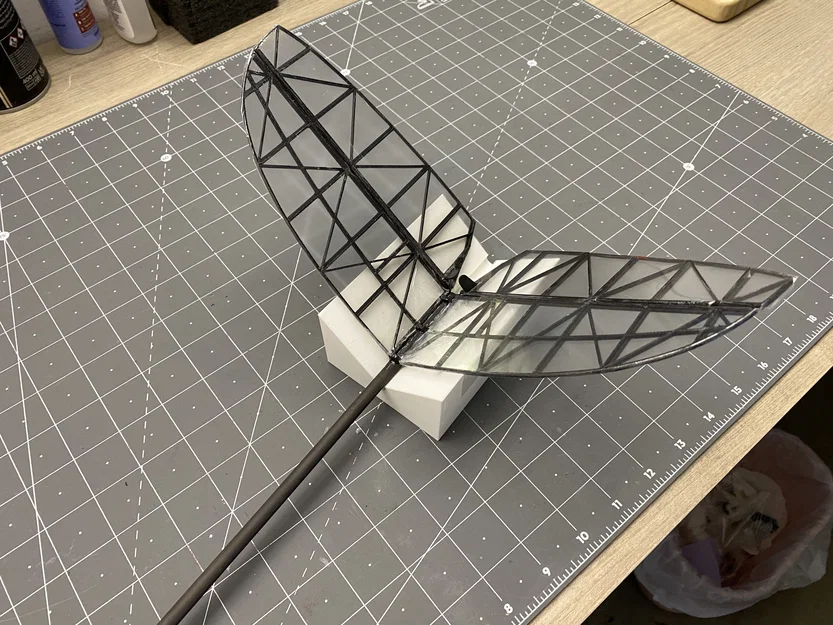 "Bug Lite" - Máy bay lượn điện in 3D (e-DLG / F5K) - Image 7