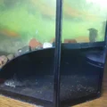 Hang đá trú ẩn cho bể cá - Mô hình in 3D đẹp mắt, dễ thi công - Thumbnail 3