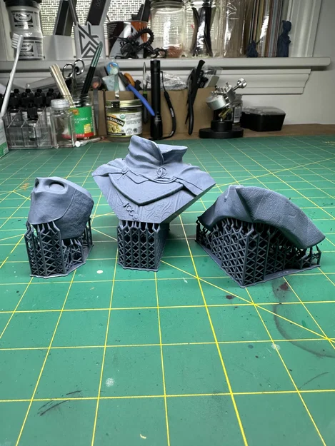 Ringfinger Leonhard (Dark Souls) (Pre-Supported) - Tượng bán thân - Image 4