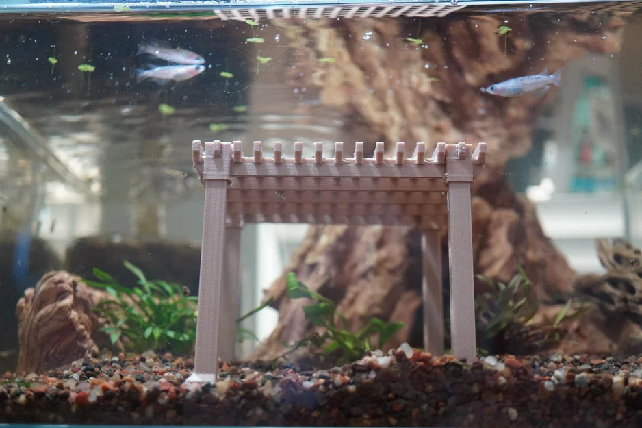 Trang trí hồ thủy sinh Pergola Aquarium Decoration - Image 1