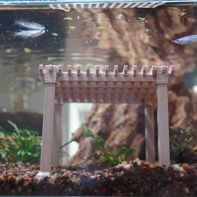 Trang trí hồ thủy sinh Pergola Aquarium Decoration