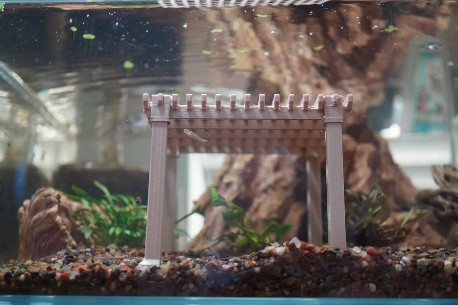 Trang trí hồ thủy sinh Pergola Aquarium Decoration - Image 5