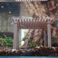 Trang trí hồ thủy sinh Pergola Aquarium Decoration - Thumbnail 5