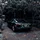 profsmartass_355353