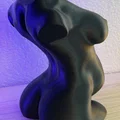 Mô hình trang trí cơ thể phụ nữ mang thai 3D (Vase mode) - Thumbnail 4