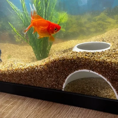 Hang trú ẩn ngầm dưới nền bể cá (Fish tank underground hiding cave)