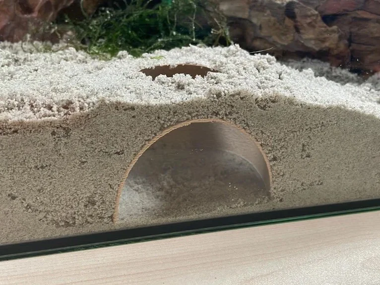 Hang trú ẩn ngầm dưới nền bể cá (Fish tank underground hiding cave) - Image 2