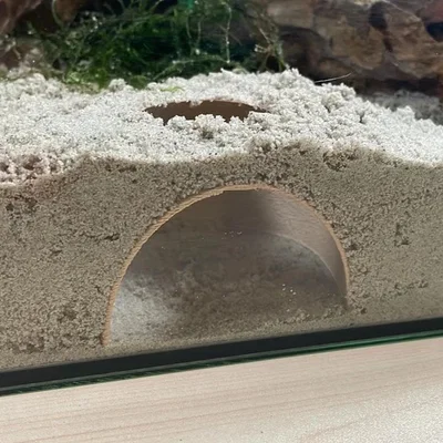 Hang trú ẩn ngầm dưới nền bể cá (Fish tank underground hiding cave)