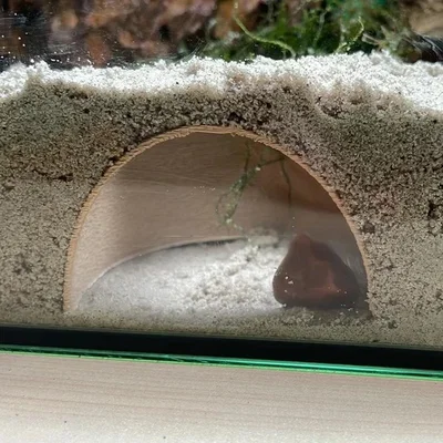 Hang trú ẩn ngầm dưới nền bể cá (Fish tank underground hiding cave)
