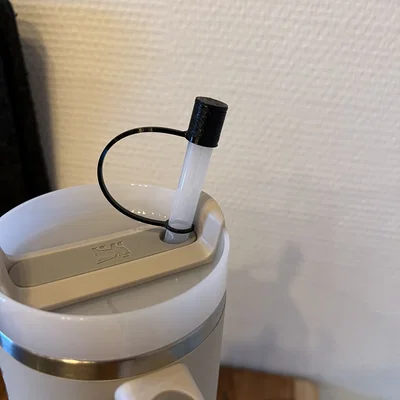 Nắp đậy ống hút cho bình Stanley 30oz (850ml) - Bảo vệ vệ sinh tối đa