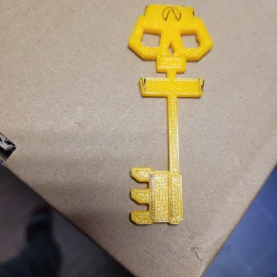 Chìa Khóa Kho Vault Borderlands (sọ) & Golden Skull Key Borderlands 3