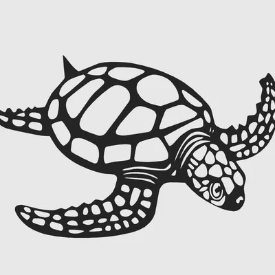 Mẫu Rùa Biển (Turtle) Trang Trí Tường Độc Đáo Dễ In 3D