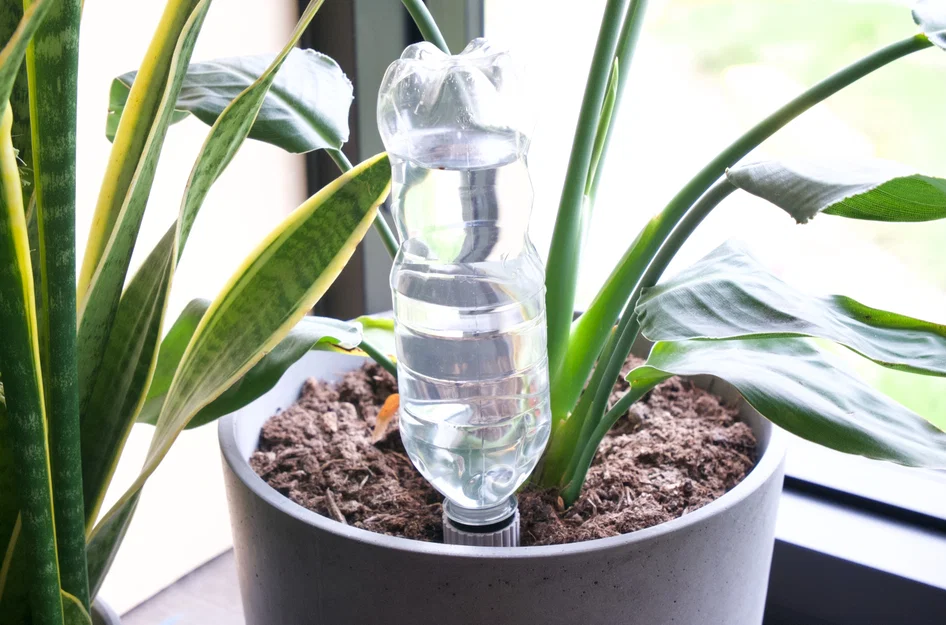 Đầu gắn tự tưới cho chai PET – Tái sử dụng chai PET (Upcycling) - Image 7
