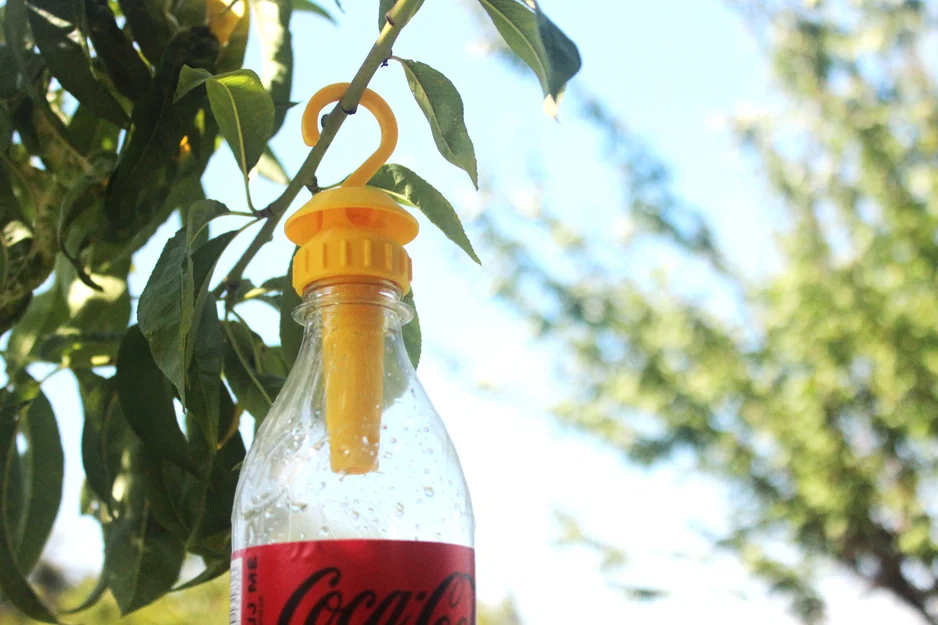 Bẫy Ong Vò Vẽ Dùng Chai (Bottle Wasp Trap) - Image 1