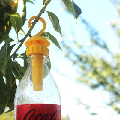 Bẫy Ong Vò Vẽ Dùng Chai (Bottle Wasp Trap)