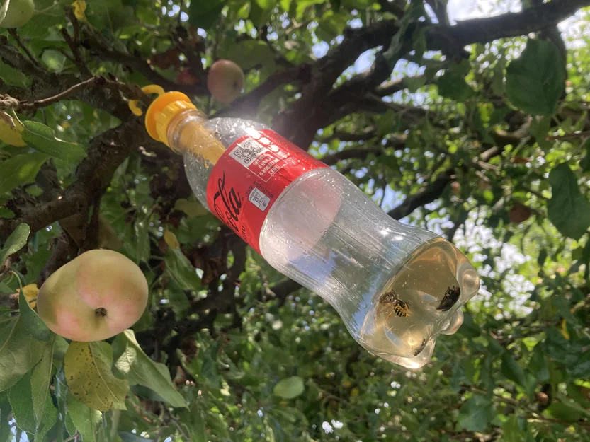 Bẫy Ong Vò Vẽ Dùng Chai (Bottle Wasp Trap) - Image 4
