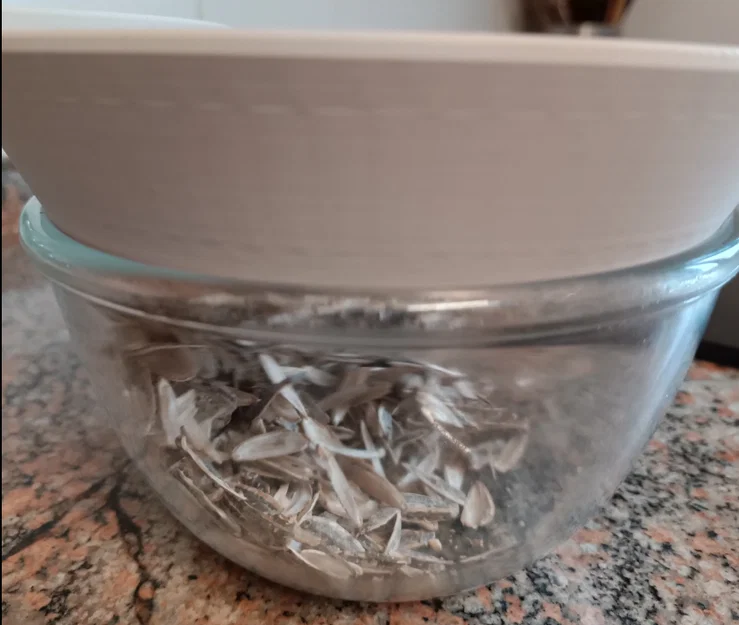 Tô ăn hạt hướng dương/hạt dẻ cười (Pipas y Pistachos) - Image 3