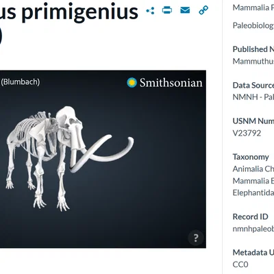 Mammuthus primigenius (Blumbach) – Bản scan bộ xương voi ma mút
