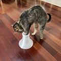 Đồ chơi cho mèo thông minh - Cải thiện kỹ năng săn mồi (Cat Toy) - Thumbnail 1