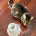 Đồ chơi cho mèo thông minh - Cải thiện kỹ năng săn mồi (Cat Toy) - Thumbnail 2