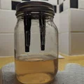 Bẫy ong vò vẽ cho hũ Mason (Wasp Trap for Mason Jars) - Thumbnail 1