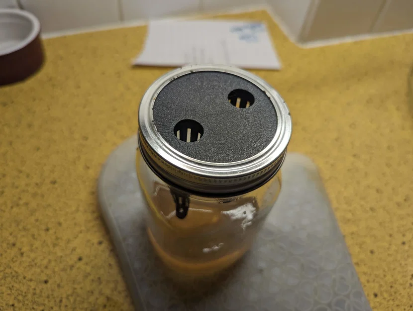 Bẫy ong vò vẽ cho hũ Mason (Wasp Trap for Mason Jars) - Image 2