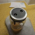 Bẫy ong vò vẽ cho hũ Mason (Wasp Trap for Mason Jars) - Thumbnail 2