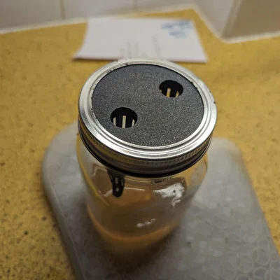 Bẫy ong vò vẽ cho hũ Mason (Wasp Trap for Mason Jars)