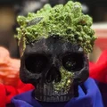 Đầu lâu Halloween đính tinh thể (Crystal Embedded Halloween Skull) - Thumbnail 3