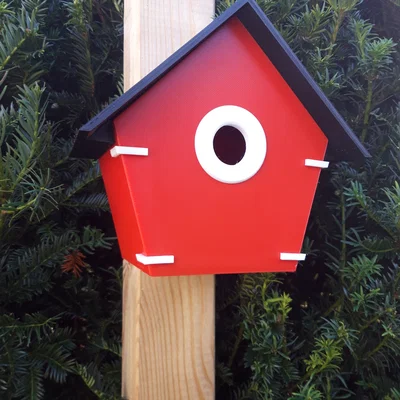 Nhà chim (Birdhouse) lỗ 32mm / 36mm