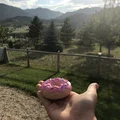 Mô hình bánh Donut 3D trang trí siêu đáng yêu - Thumbnail 3