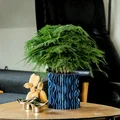 Chậu cây trang trí Pot 13 kèm khay hứng nước - Thiết kế hiện đại - Thumbnail 2