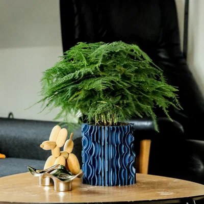 Chậu cây trang trí Pot 13 kèm khay hứng nước - Thiết kế hiện đại